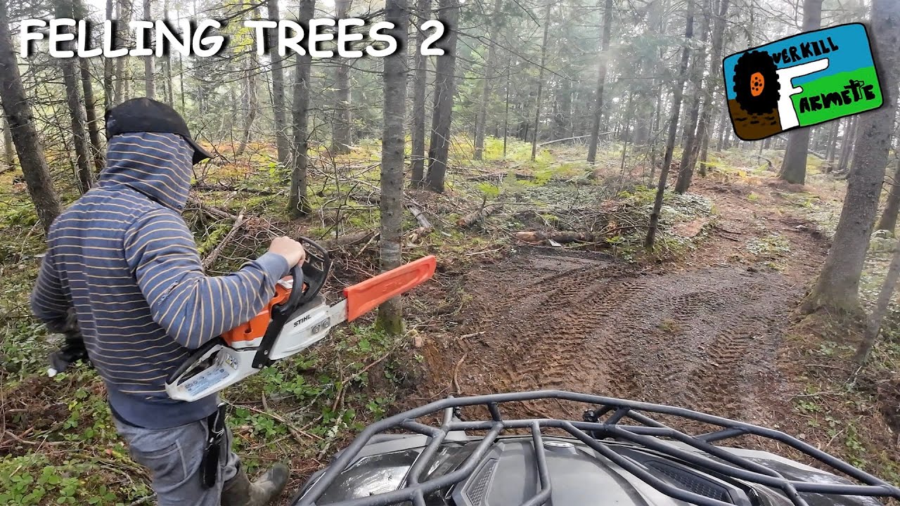 OF 50 FELLING TREES 2