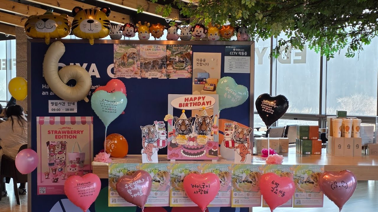 2026.02.21 백두대간수목원 태범&무궁 6짤 생파♡