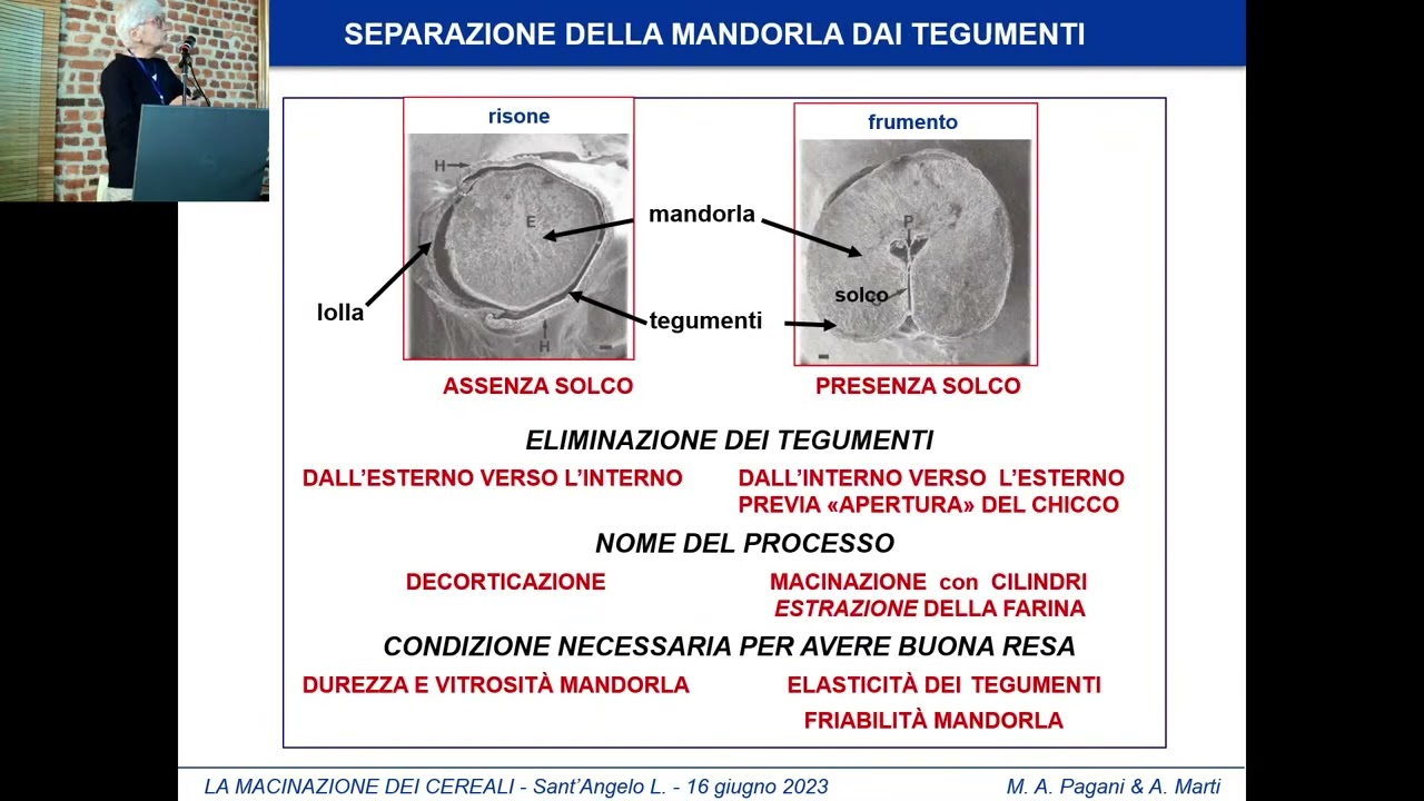La macinazione dei cereali: storia ed evoluzione recente di Ambrogina Pagani