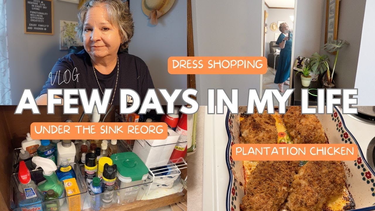 Chatty Vlog:  Reorganizing Under the Kitchen Sink, Tick Bite, Searching for an Evening Dress