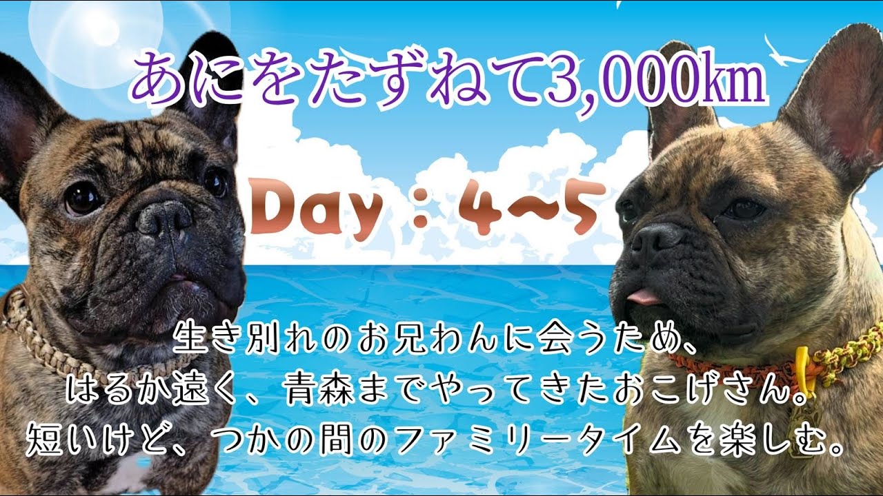 あにをたずねて 3000㎞（つかの間のファミリータイム）