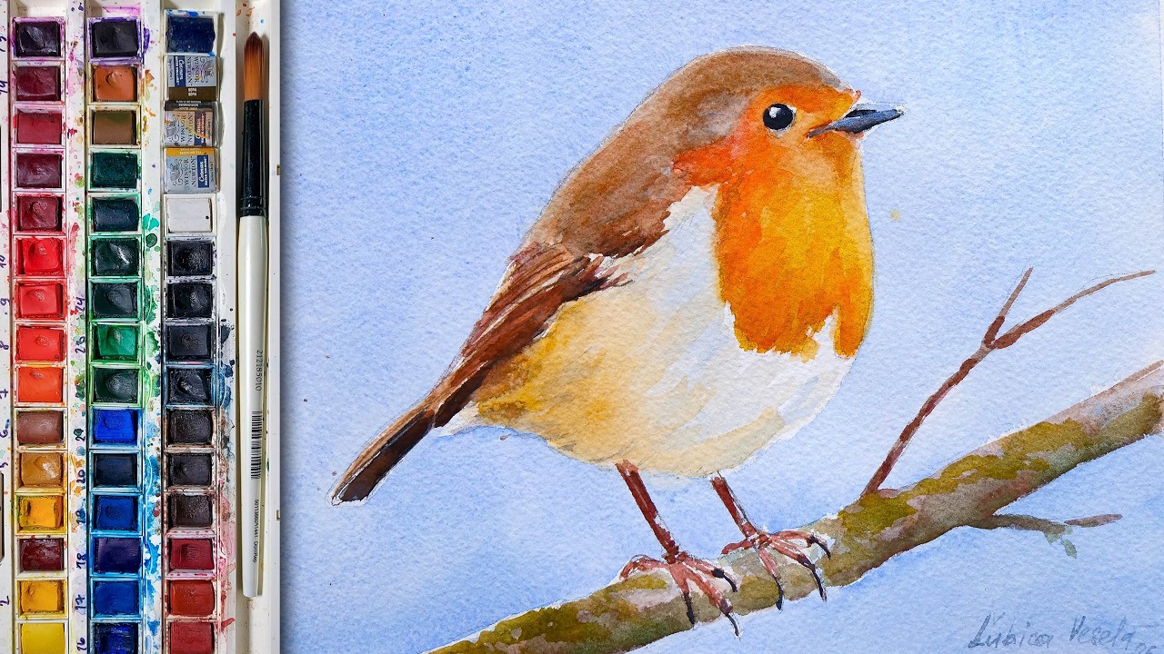 Paint a Realistic Robin Bird Watercolor Painting Tutorial