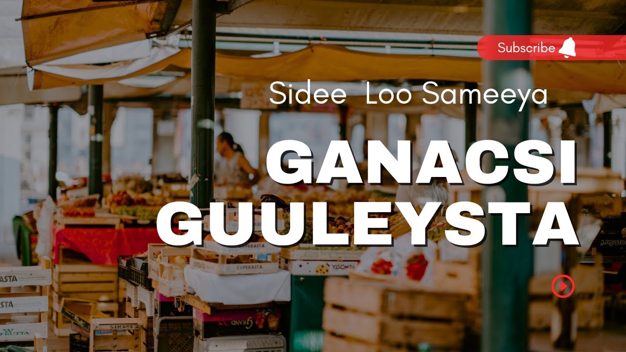 Sidee Loo Abuura GANACSI Guuleysta | GEEL PODCAST