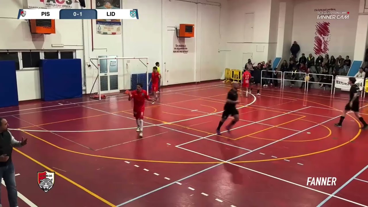 🎥 La Pisana - Editaly Lidense | Highlights