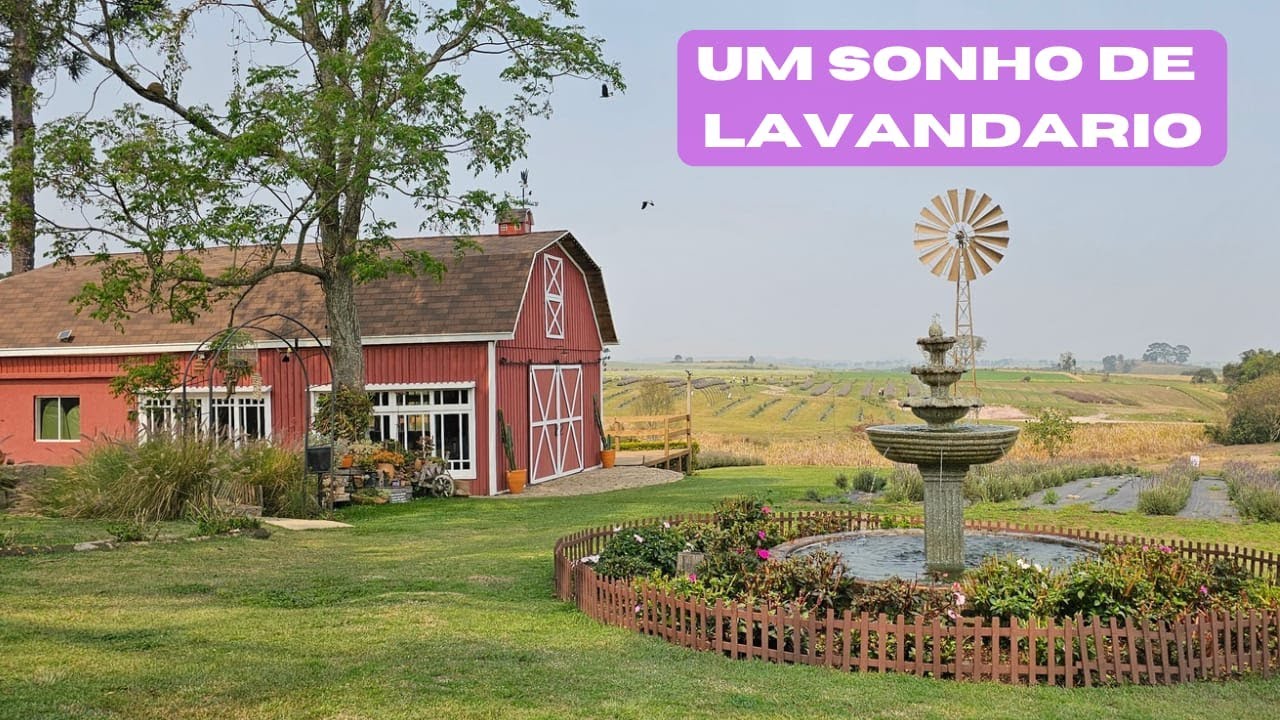 Lavandario Vale dos Sonhos - Colônia Witmarsum - Palmeira/PR
