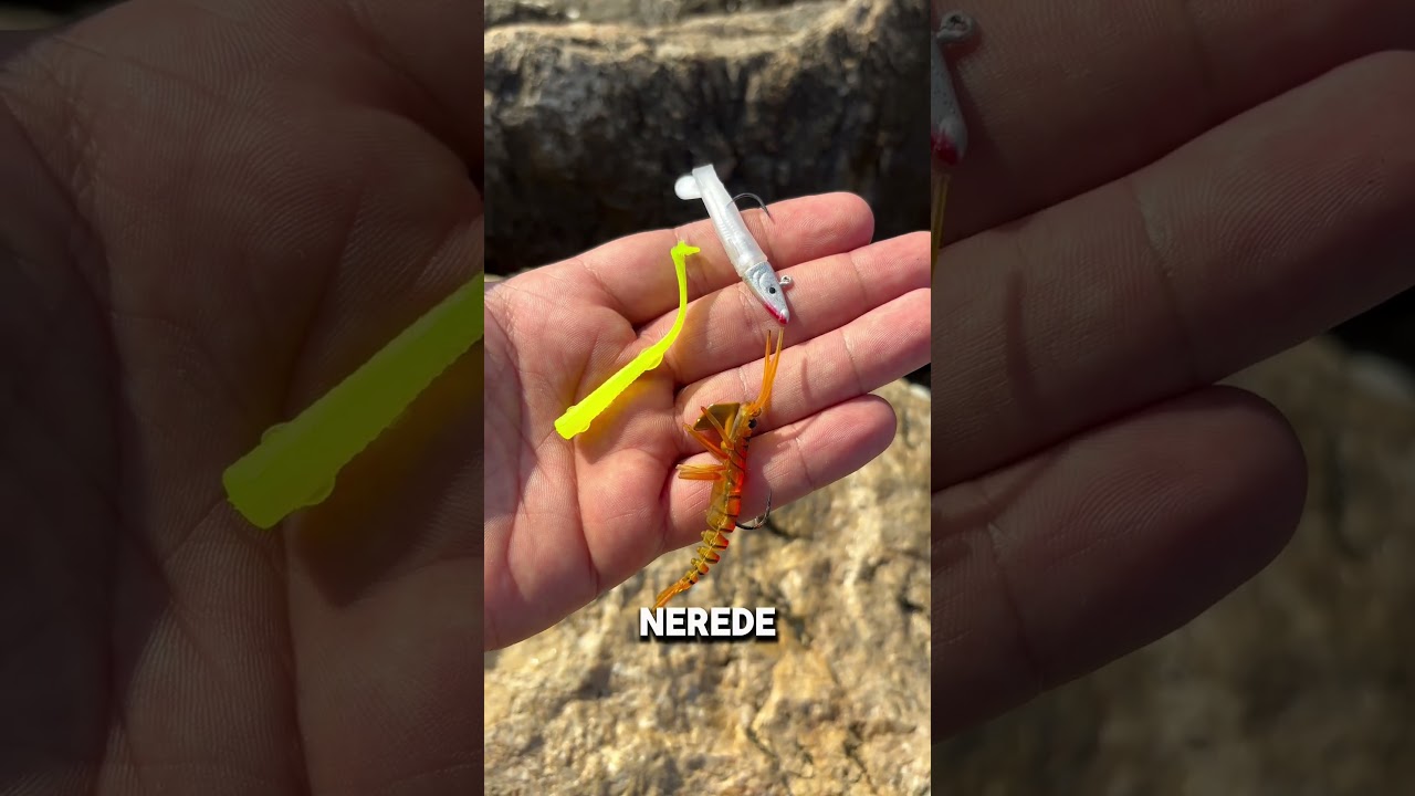 Silikon ile levrek avı