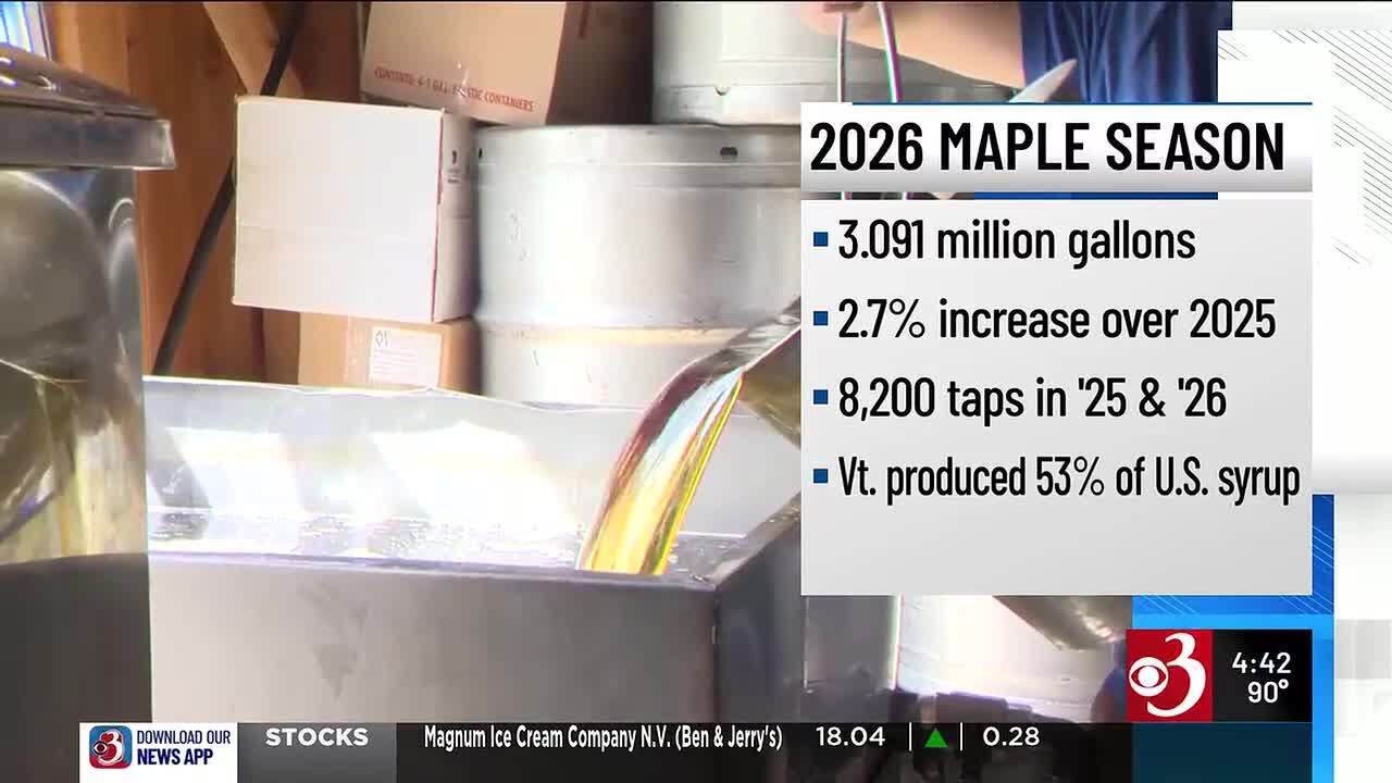Производство кленового сиропа в Вермонте в 2026 году немного увеличится.