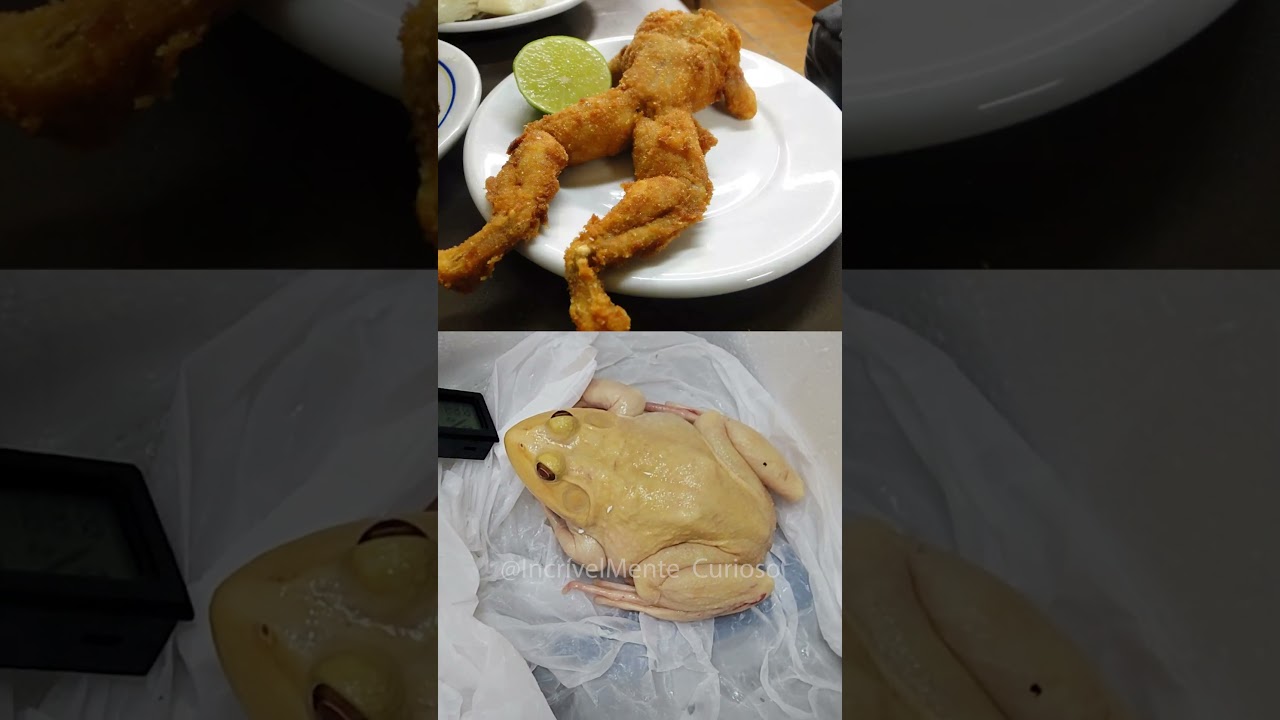 COMPREI uma RÃ na INTERNET e CHEGOU ASSIM!