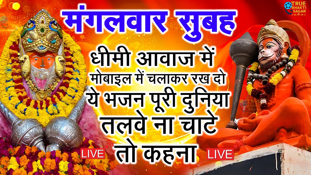 बागेश्वर बालाजी 24 घंटे के अंदर जिंदगी बदल देंगे 2 मिनट के दर्शन भाग्य चमका देंगे bageshwar dham