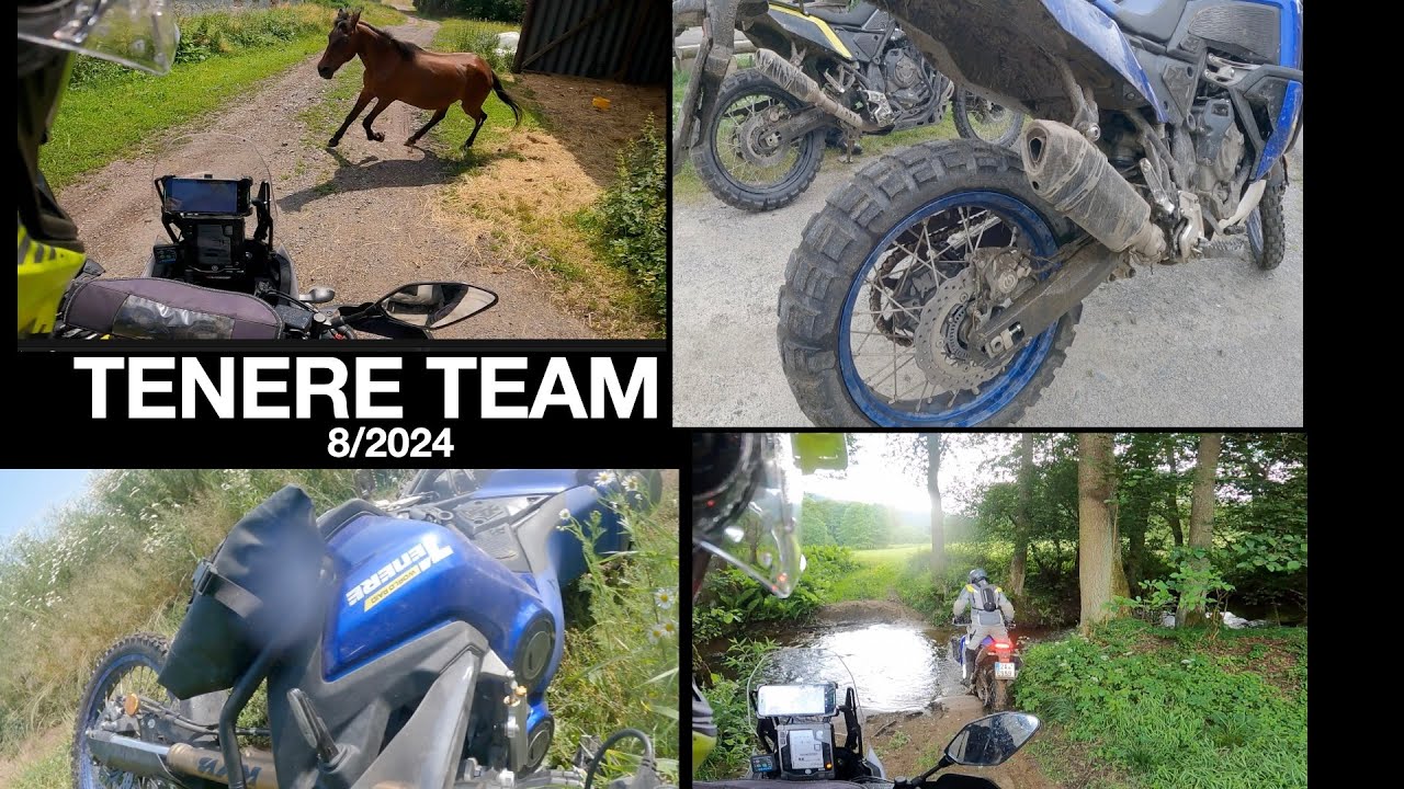 Tenere team 8-2024
