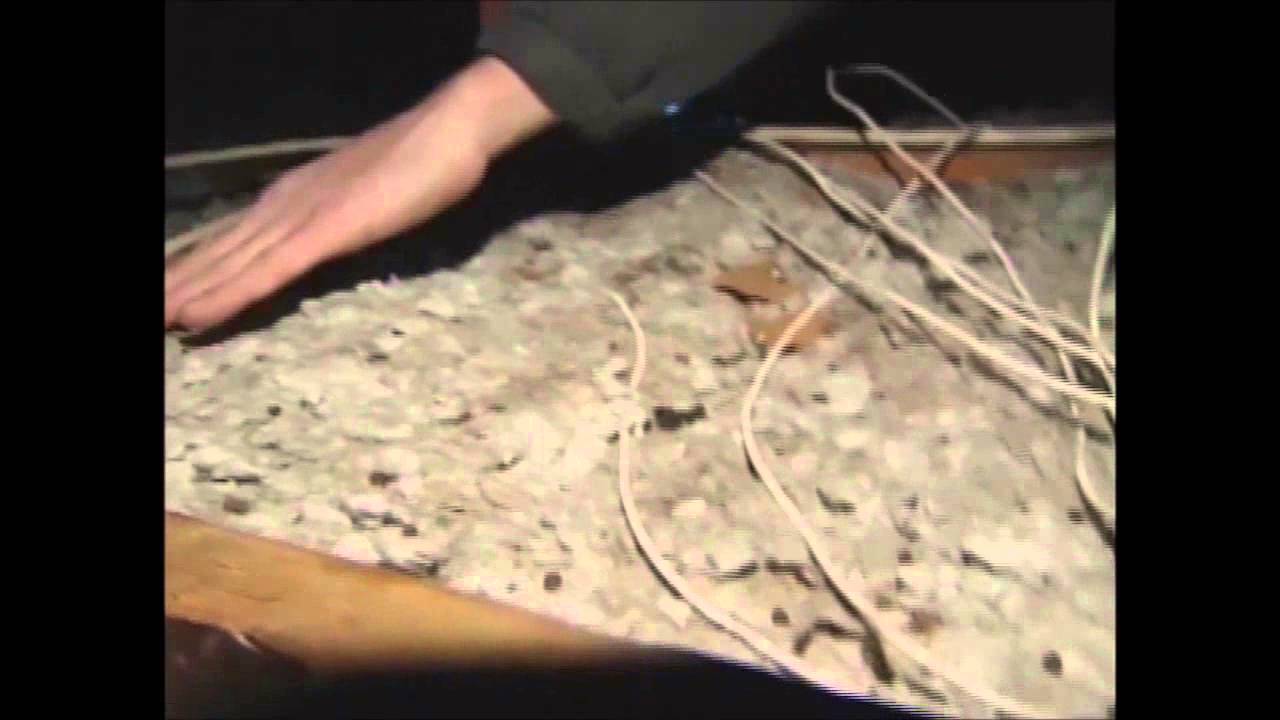Skedaddle is Featured on CTV News: Things That GO Bump in The Night