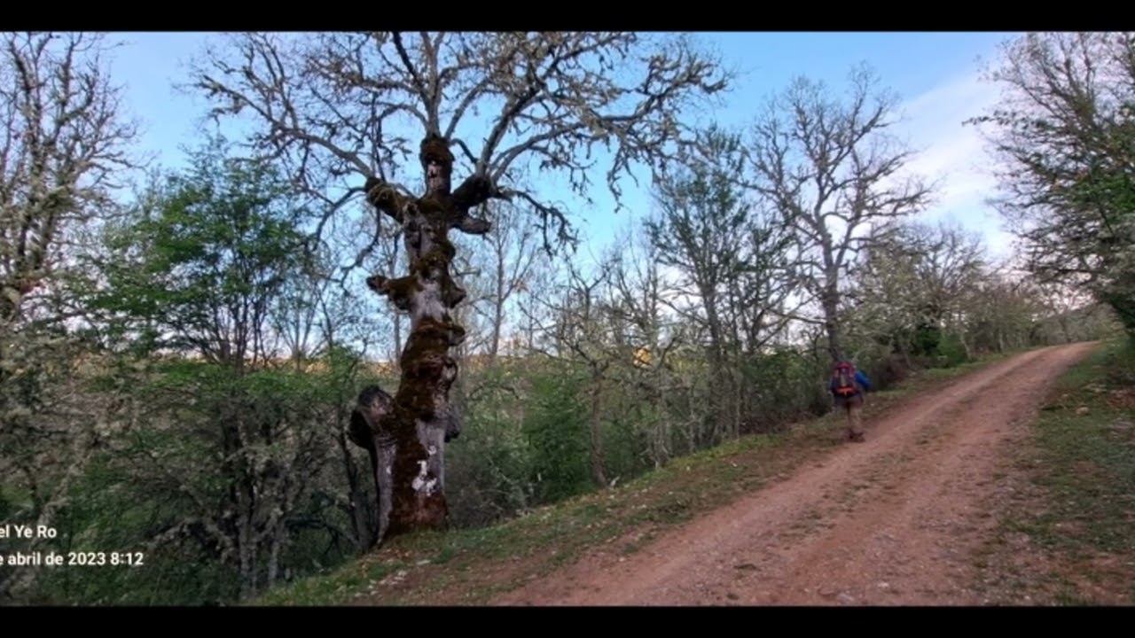 Camino Olvidado, Etapa 12A:  Cistierna -Boñar, 30- 4- 2023