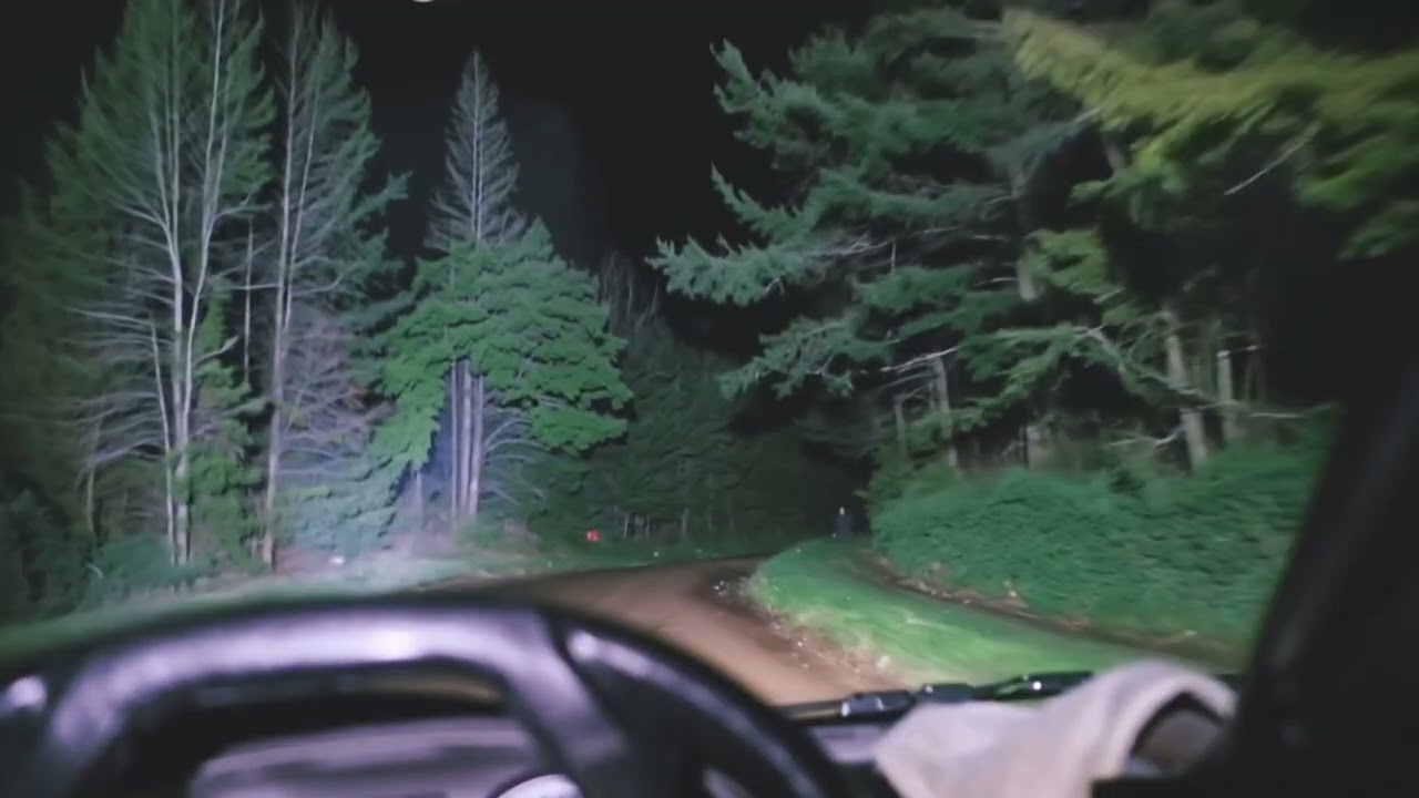 A SCARY ENTITY ATTACK CAUGHT ON DASHCAM #horror #raw #woods #wendigo #shadowperson