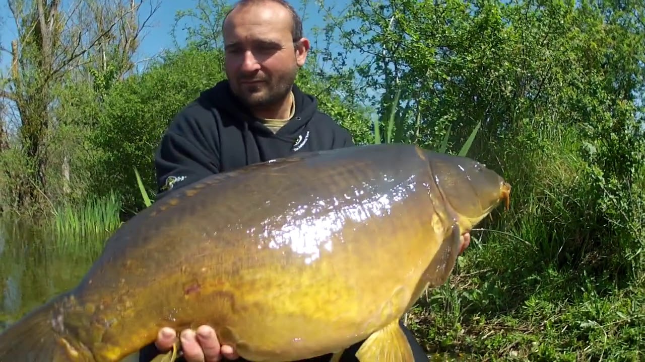 CarpSpirit