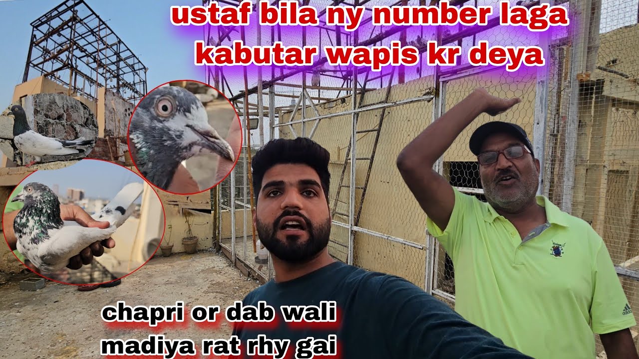 Ustad bila ny kabutar wapis kr deya number wala😯bara nuqsan chapri or dab wali raay rhy gai
