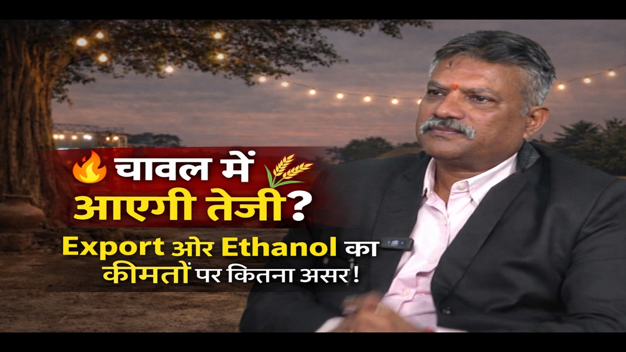 चावल में आएगी तेजी? 🌾 Export और Ethnol का कीमतों पर कितना असर ! #rice #chawal #grain #export #ethnol