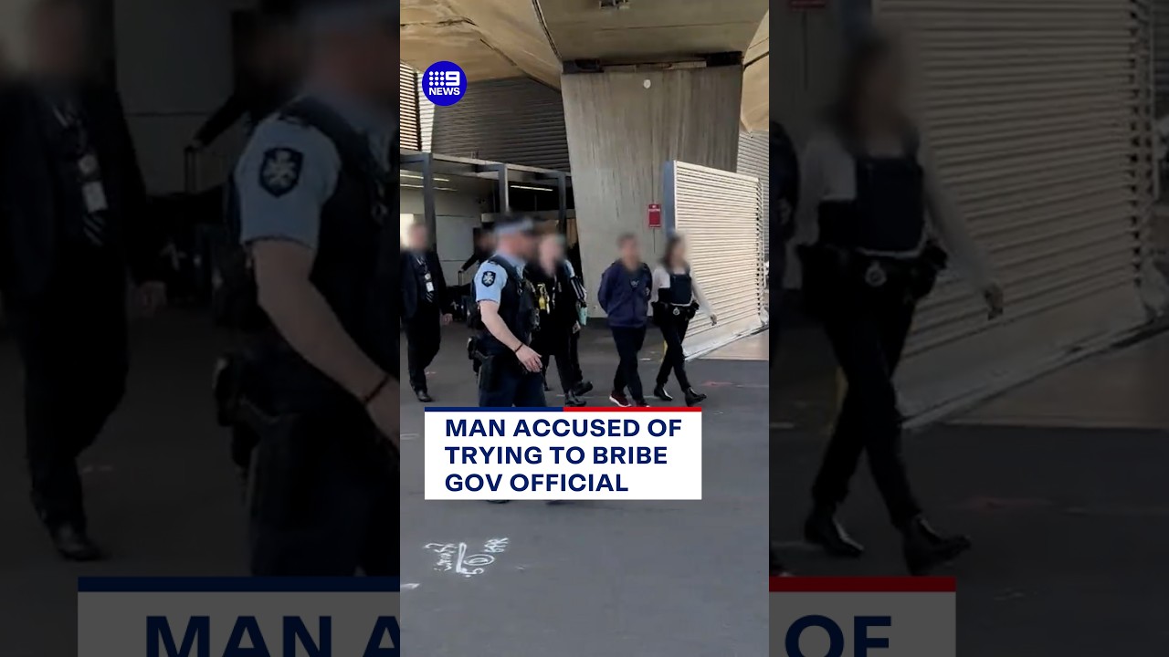 Chinese national accused of trying to bribe government official | 9 News Australia