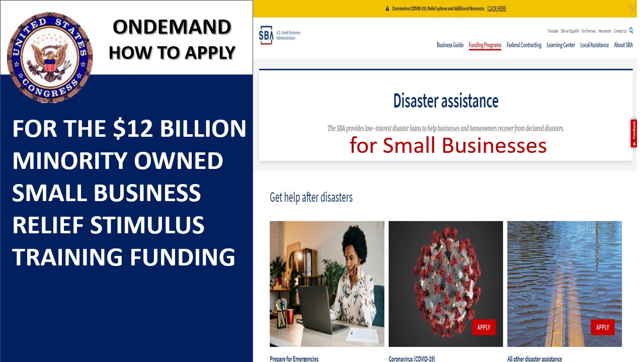 Access Stimulus Funding Training [How to Apply for Minority Business Covid 19 Stimulus Funding]