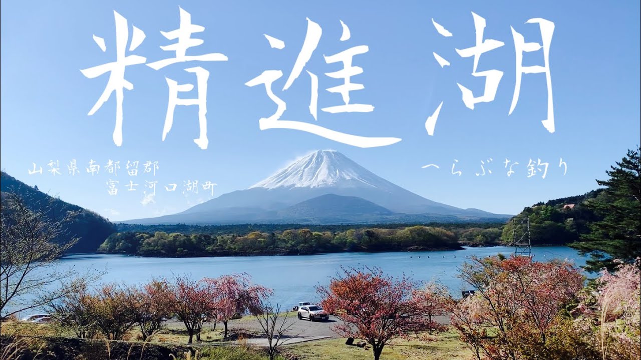 【精進湖】富士五湖の一つ精進湖でへらぶな釣り 急斜面(駆けさがり)を狙う 富士山の眺めは最高