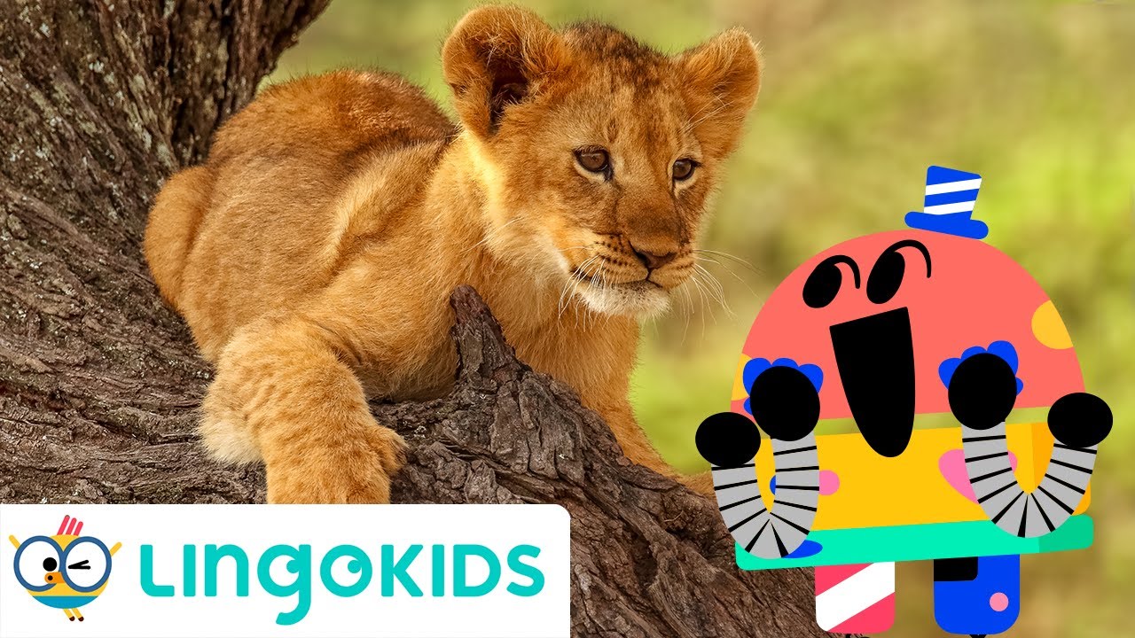 SAVANNAH SONG For Kids 🦁🦒| Animals Songs For Kids | Lingokids