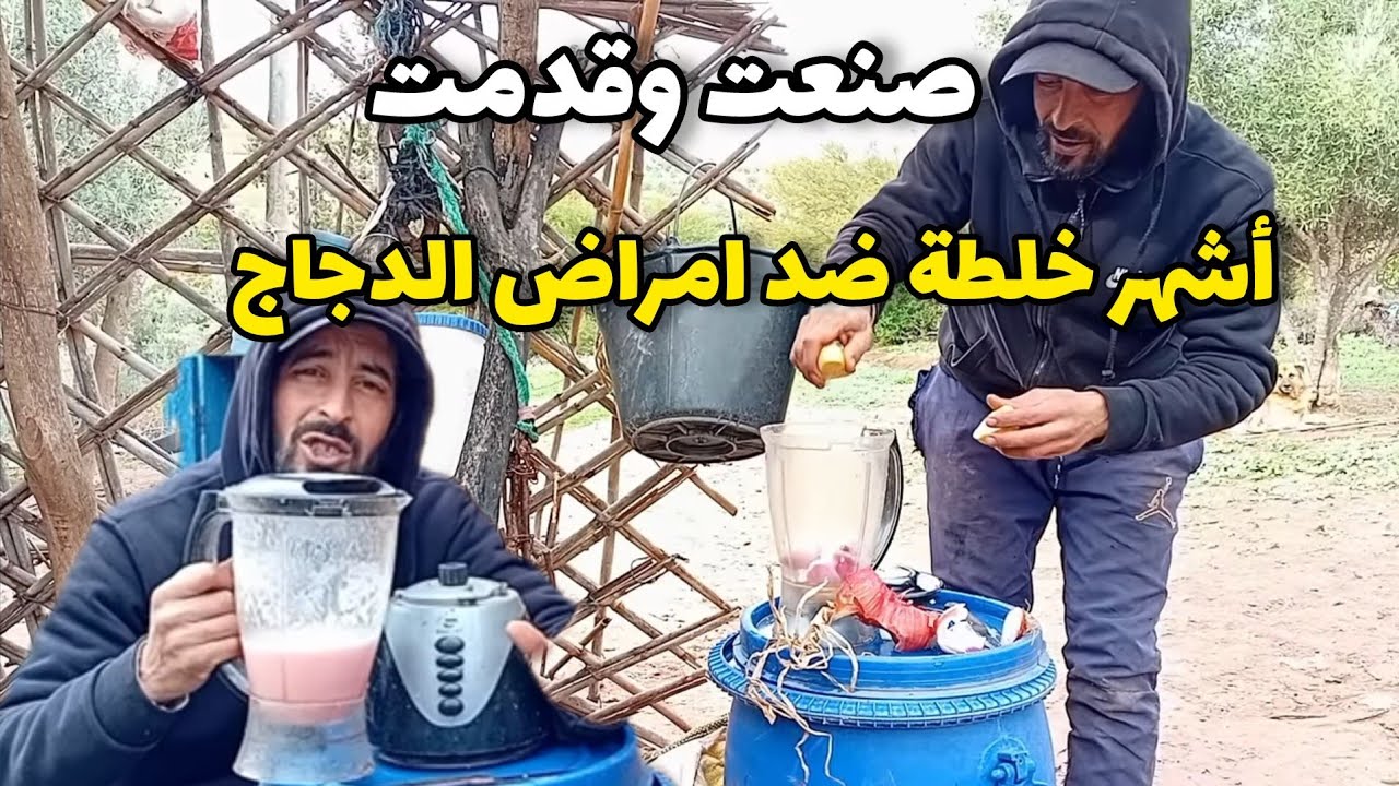 أنقذت كتاكيتي في اللحظة الأخيرة ! خلطة سحرية من قلب الطبيعة
