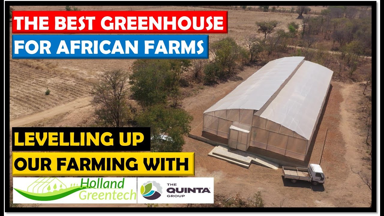 Vegetable Farming in Zambia: We Got our First Greenhouse