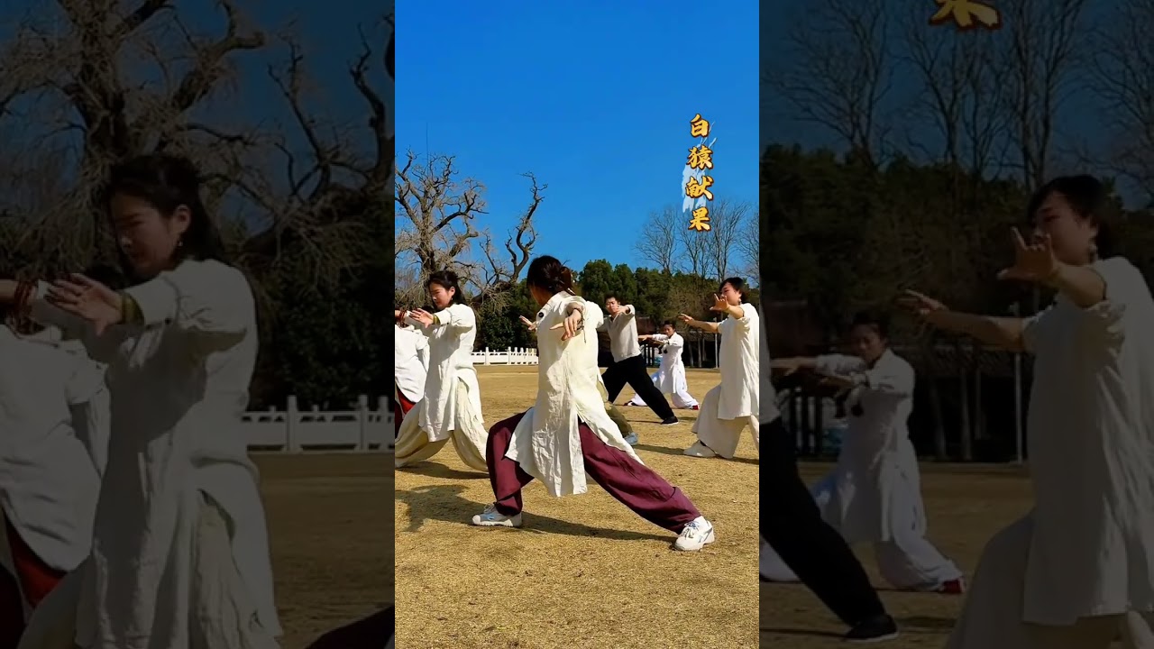 Gratitude Transforms Every Encounter: Dragon Roaming Fist Mastery