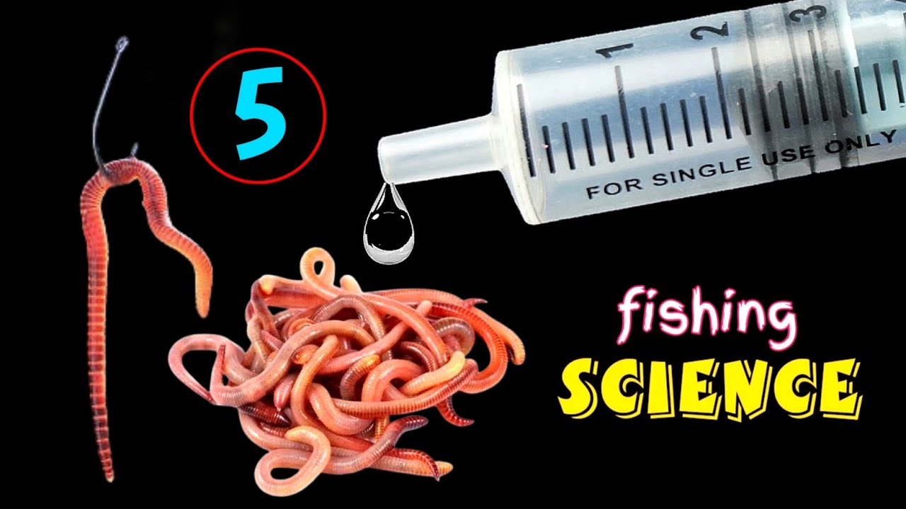 Best 5 Fishing Science Compilation