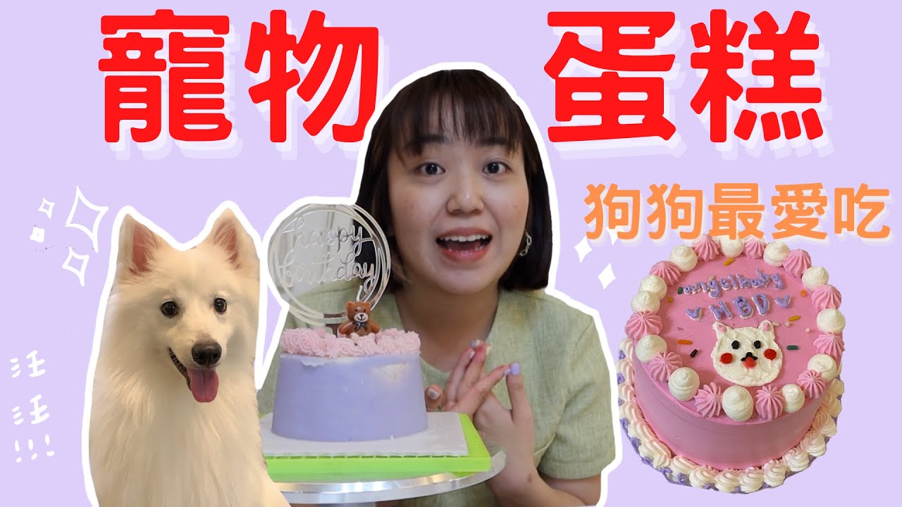 教你製作超簡易又漂亮的『寵物蛋糕』！狗狗超愛吃😍竟然只用馬鈴薯、雞胸肉就能做出美麗蛋糕