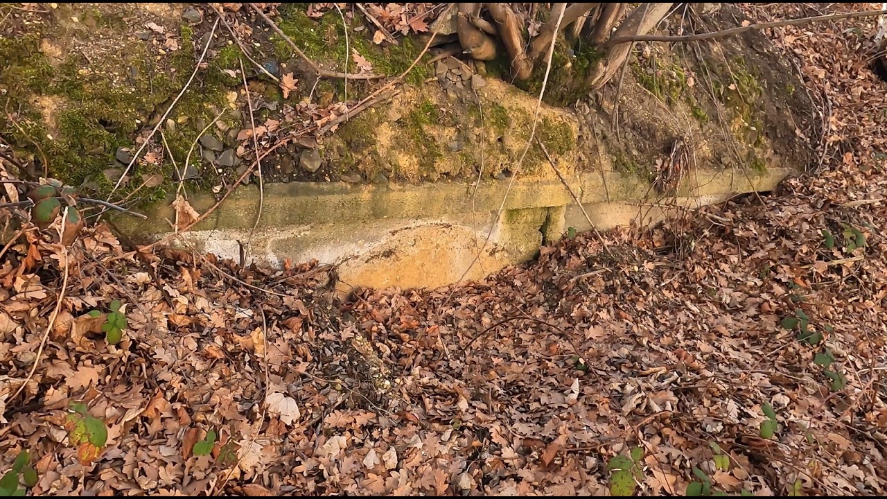Vermauerte Tore zur Unterwelt - 1. Teil:  Zwickau, abseits der Crimmitschauer Strasse