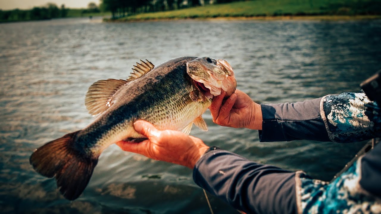 Could this be the BEST BAIT EVER?! // Project E
