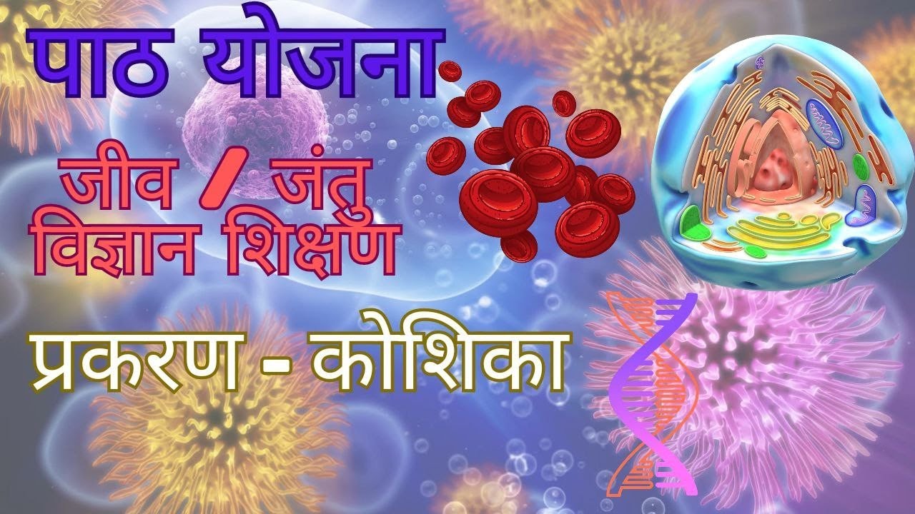 B.Ed Lesson Plan For Biology In Hindi | Jantu/Jiv Vigyan Ka Path Yojna Hindi Me ( Koshika | Cell )