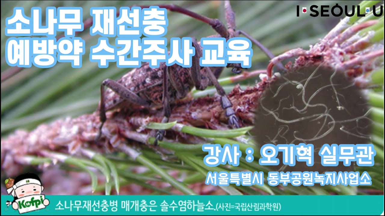 소나무재선충 예방약 수간주사 교육 ㅣ서울의 공원