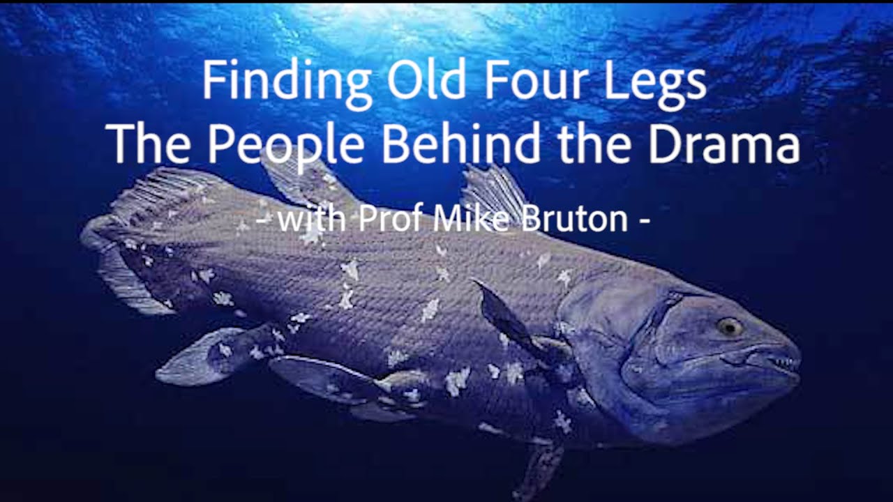 Finding Old Four Legs - The People Behind the Drama