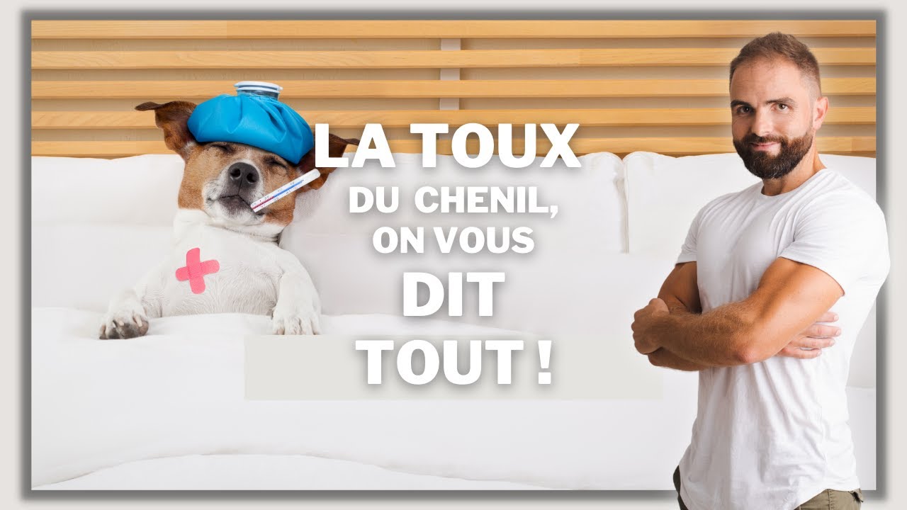 La toux du chenil