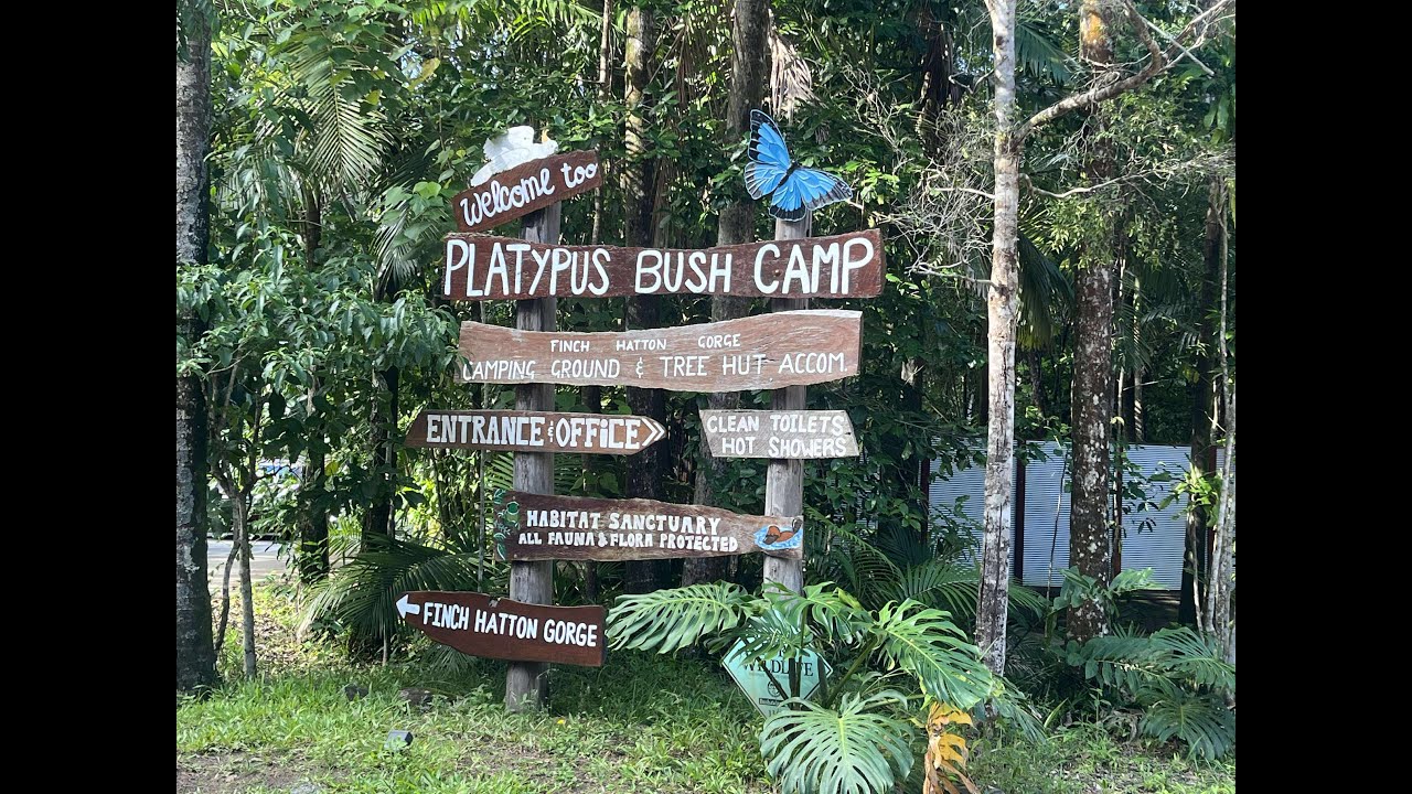 Platypus Bushcamp at Finch Hatton   HD 720p