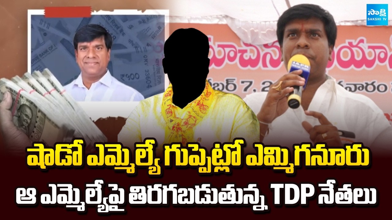TDP Leaders Fires on Yemmiganuru MLA Jaya Nageswara Reddy Behaviour | Chandrababu | Sakshi TV
