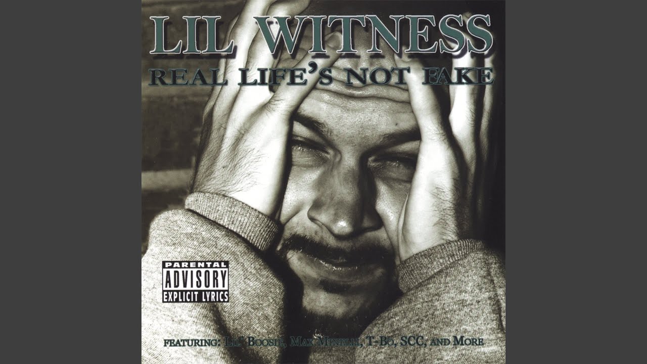 In & Out (feat. Lil Boosie, Max Minelli, T-Bo & S.C.C.)