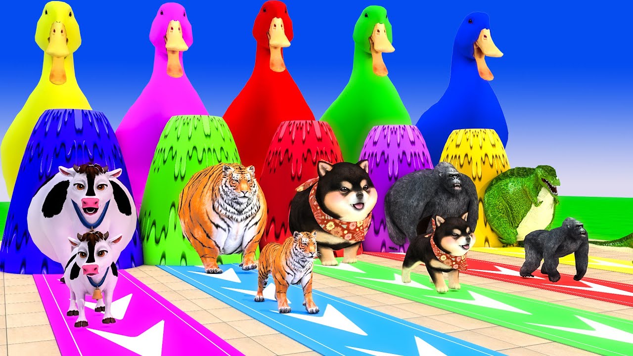 Long Slide Game With Cow Elephant Gorilla Hippopotamus Tiger 3d Animal Game Funny 3d Animals
