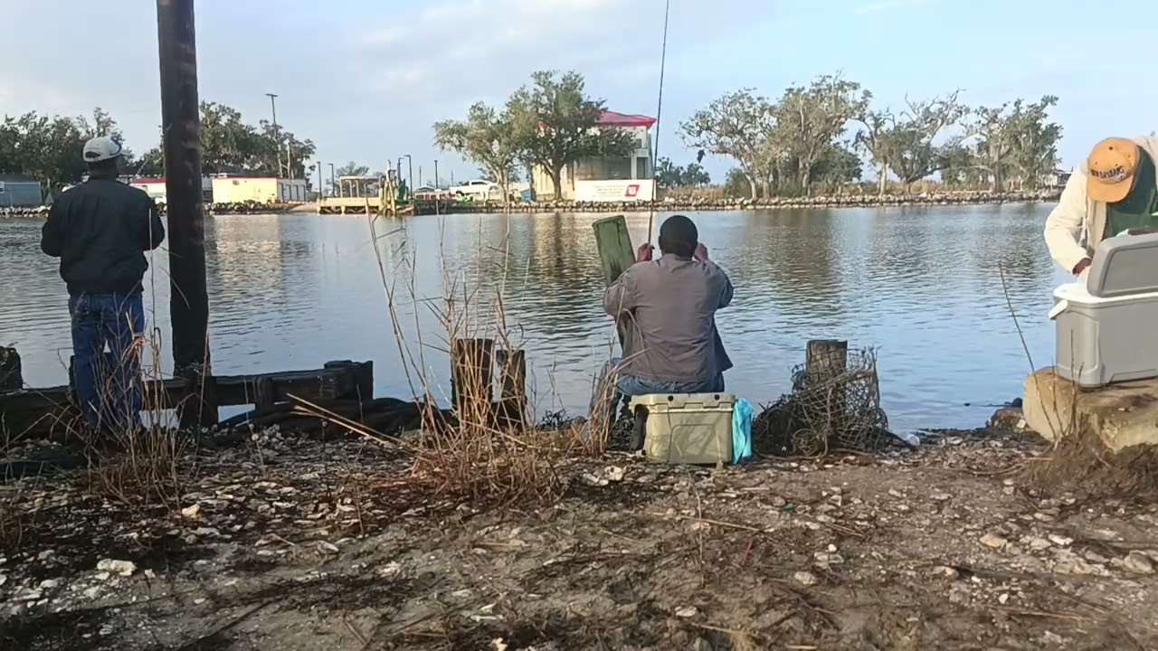 January 31, 2026