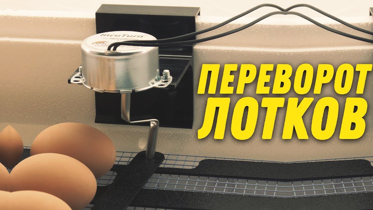 ШКОЛА ИНКУБАТОРОСТРОЕНИЯ №12  [ АВТОМАТИЧЕСКИЙ ПОВОРОТ ЛОТКОВ \ ЯИЦ! СХЕМА ПОДКЛЮЧЕНИЯ ​]