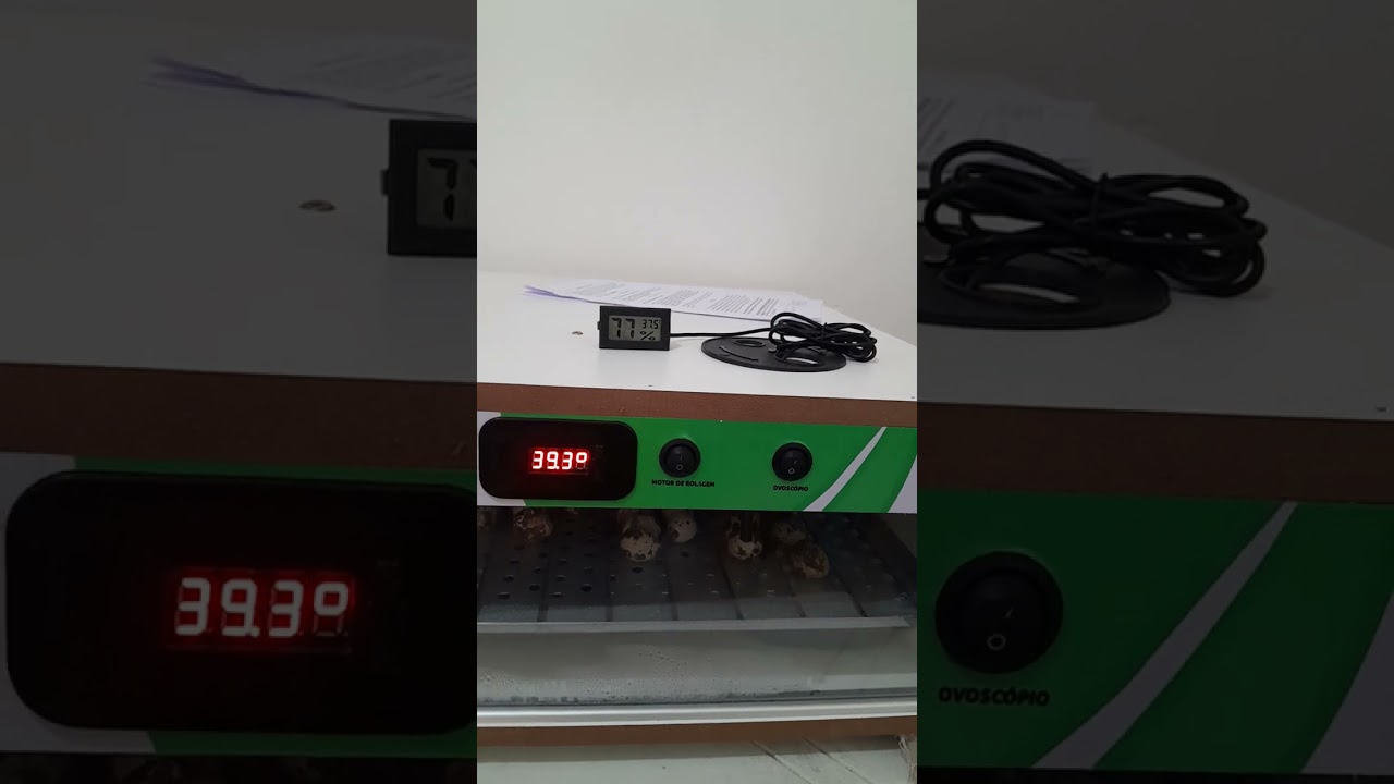 como configurar as funções da sua chocadeira eclo muito simples!