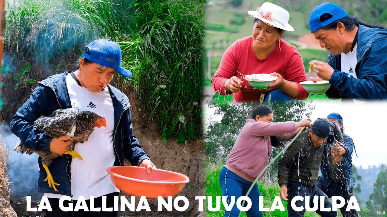 Por culpa del vecino, así terminó la gallina de mi Aurorita