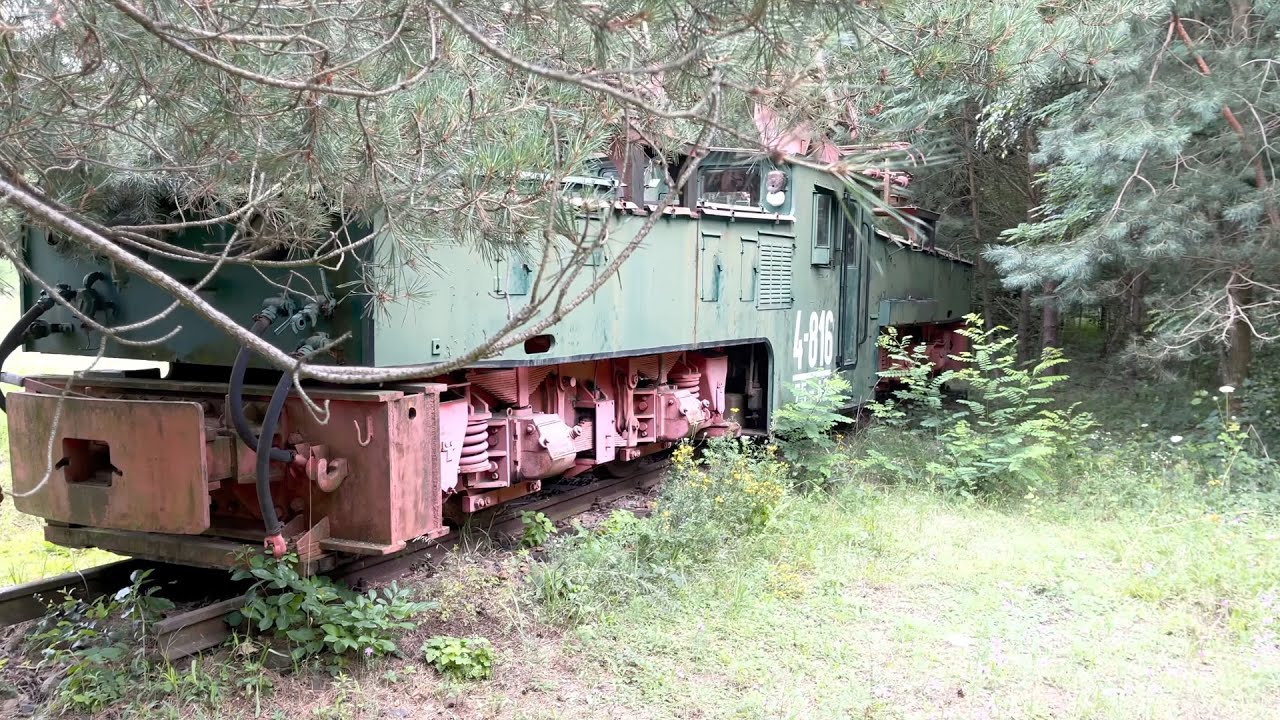 Verlassene E-Lok im Wald