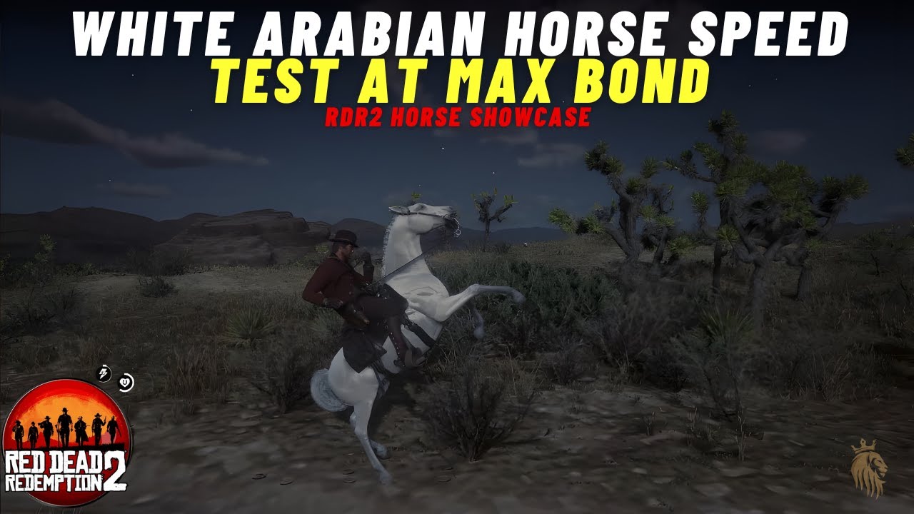 White Arabian Horse Speed Test at Max Bond | RDR2 Horse Showcase
