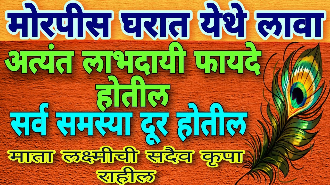 घरात येथे ठेवा मोरपीस/मोरपीसाचे वास्तु मध्ये प्रभावी फायदे/peacock feathers benefits