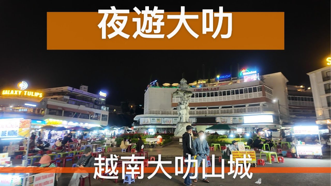 大叻夜市開箱，晚上在大叻隨處逛逛走走 (越南旅行/胡志明/胡志明旅行/自由行胡志明/越南攻略/越南vlog/胡志明vlog)