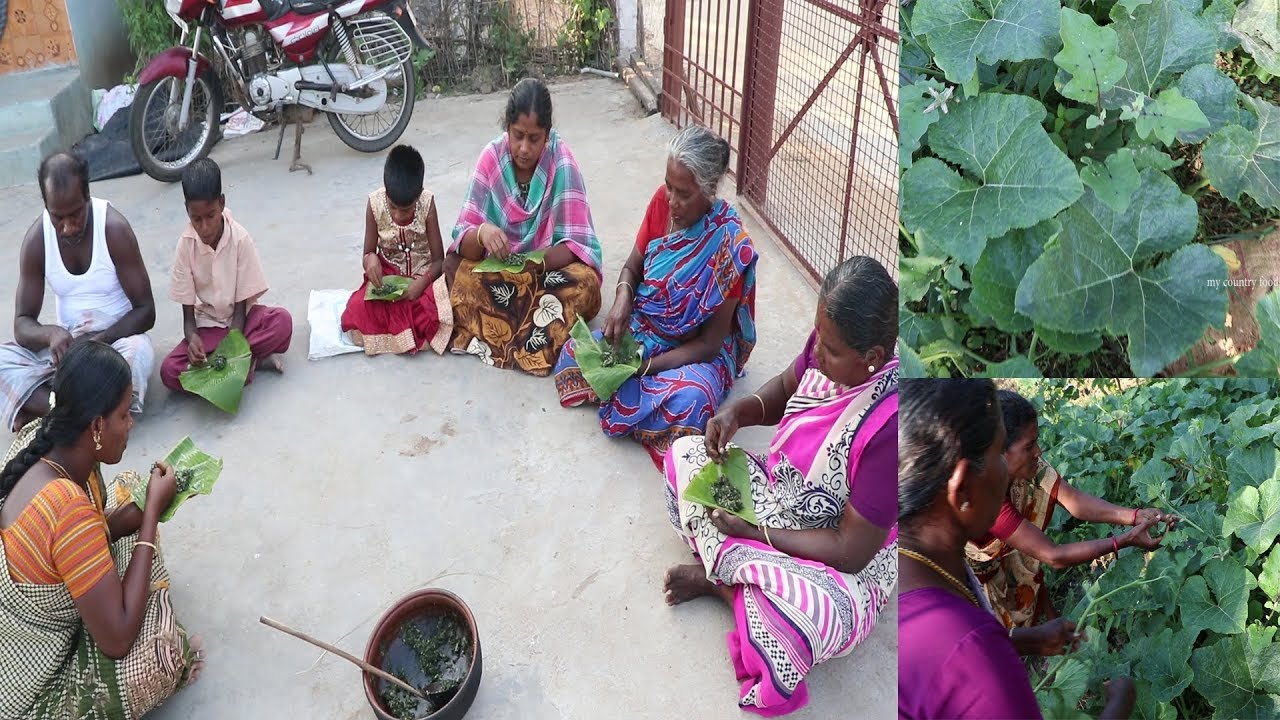 அதிசயம் ஆனால் உண்மை ~பரங்கி இலை பொரியல் ~ தண்டு கீரையை விட10 மடங்கு அதிக சுவை ~Pumpkin Leaves Recipe