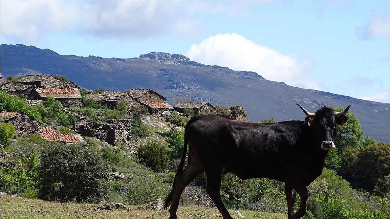 - Barranco del Rio Cristóbal -  Molino Y Tainas de Las Navas de Jadraque. Guadalajara. España.