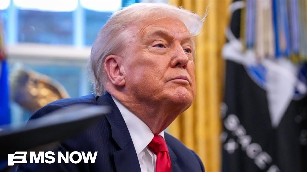 &lsquo;Smash and grab presidency&rsquo;: Political science professor describes Trump&rsquo;s lawlessness in power